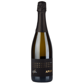 Spumante-metodo-classico-Apum-24-Cantine-di-Nessuno-cl.75