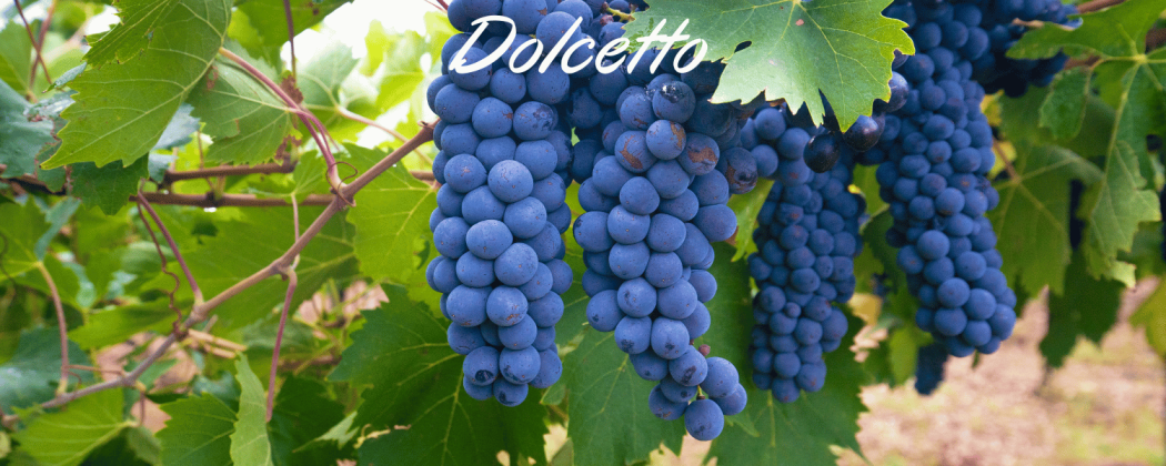 Dolcetto vino rosso in vendita - Bevendoonline
