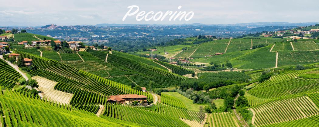 Pecorino vino bianco in vendita - Bevendoonline