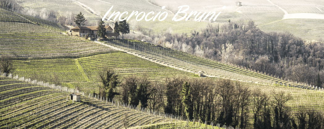 Incrocio Bruni vino bianco in vendita - Bevendoonline