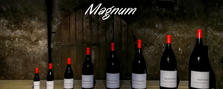 Bottiglia Magnum - In vendita Bevendoonline