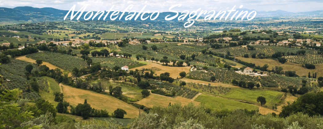 Montefalco sagrantino vino rosso in vendita - Bevendoonline