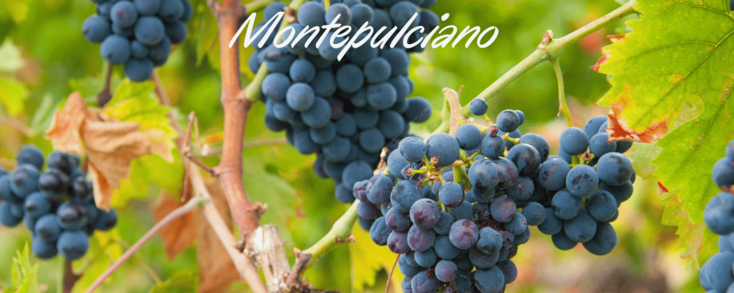 Montepulciano vino rosso in vendita - Bevendoonline