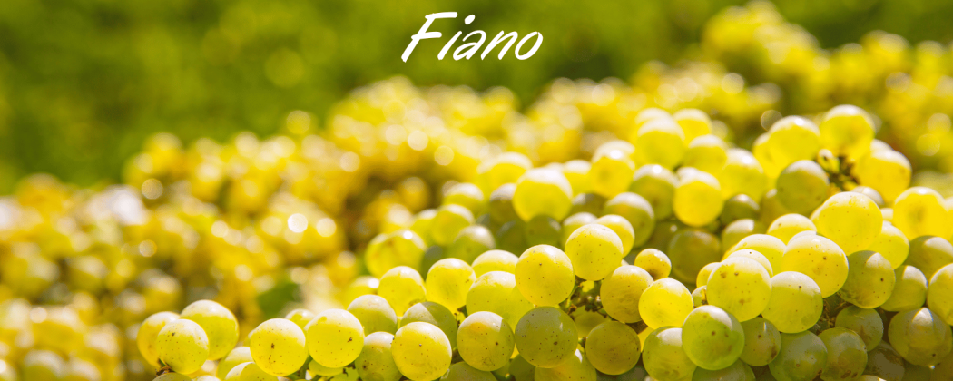Fiano vino bianco in vendita - Bevendoonline