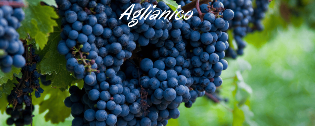 Aglianico vino rosso in vendita - Bevendoonline