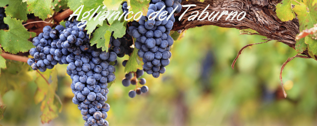 Aglianico del Taburno - In vendita Bevendoonline