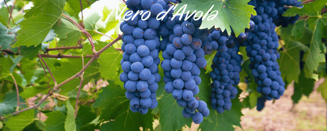 Nero d'Avola vino rosso in vendita - Bevendoonline