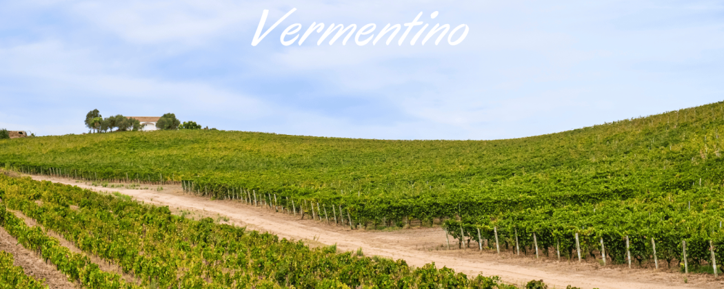Vermentino vino bianco in vendita - Bevendoonline