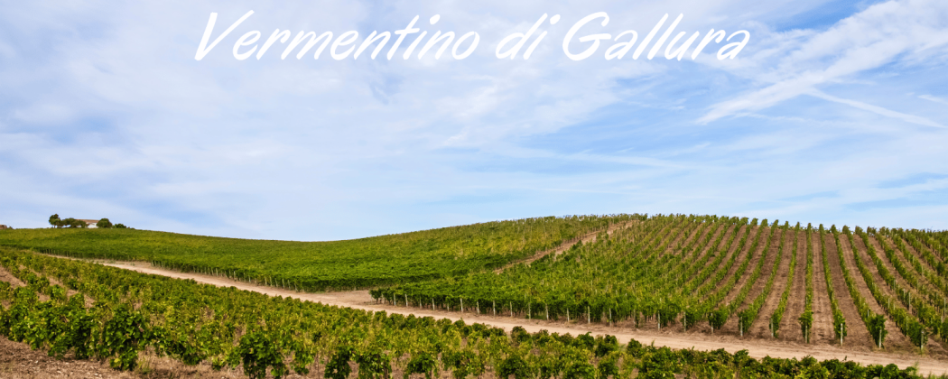 Vermentino di Gallura in vendita - Bevendoonline