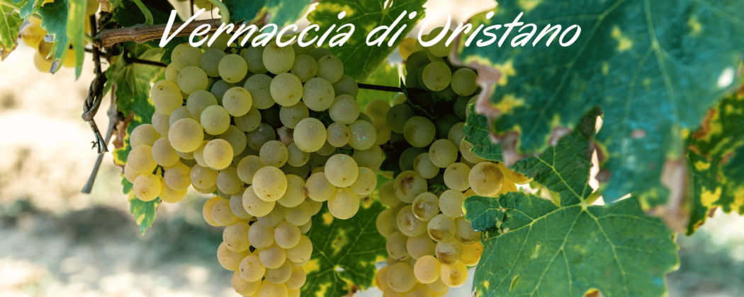 Vernaccia di Oristano in vendita - Bevendoonline