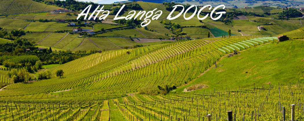 Alta Langa DOCG - In vendita Bevendoonline