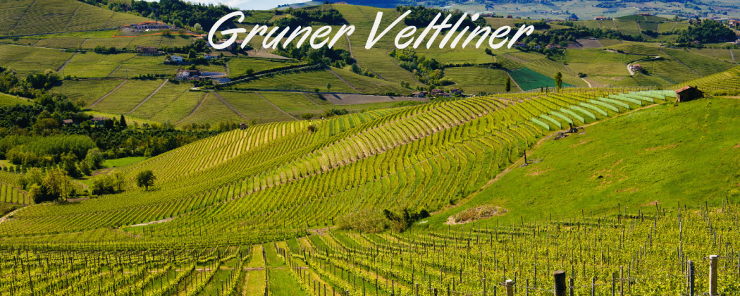Gruner Veltliner vino bianco - In vendita Bevendoonline