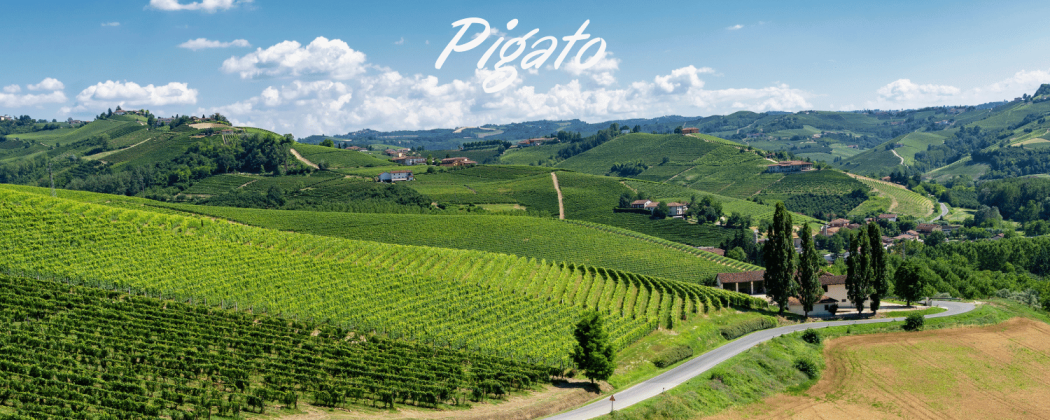 Pigato vino bianco - In vendita Bevendoonline