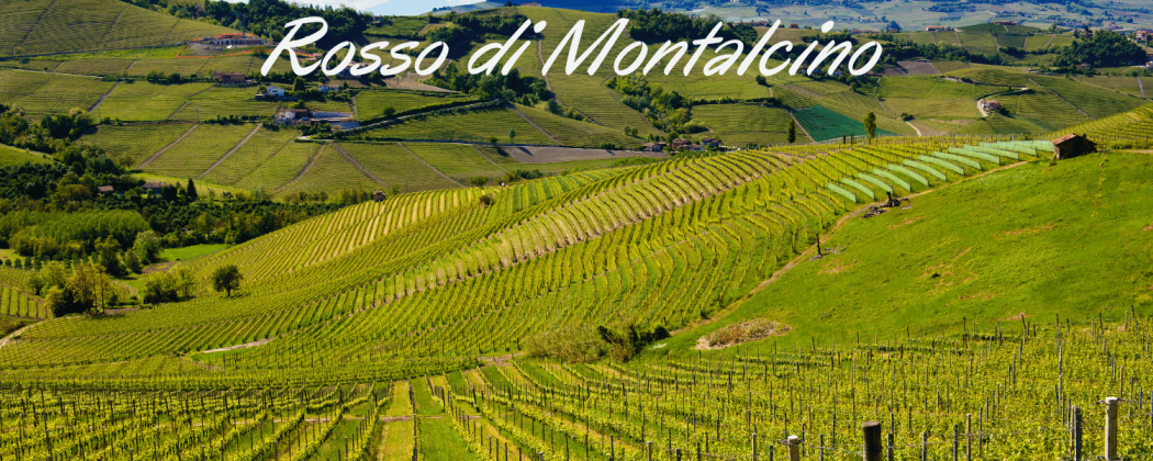 Rosso di Montalcino vino - In vendita Bevendoonline