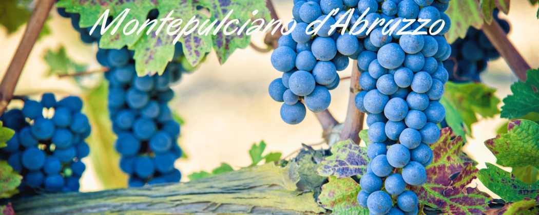 Montepulciano d' Abruzzo vino rosso - Bevendoonline