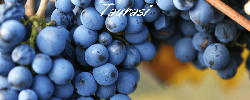 Taurasi vino rosso - In vendita Bevendoonline