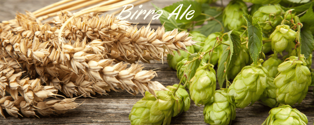 Birra Ale Artigianale in vendita - Bevendoonline