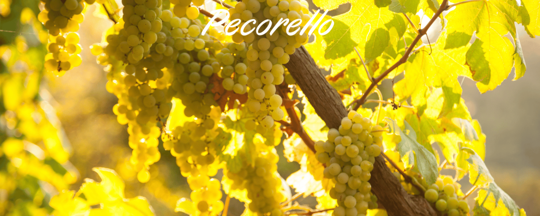 Pecorello vino bianco - In vendita Bevendoonline