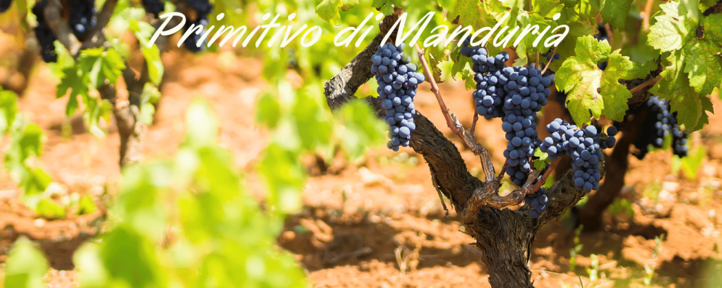 Primitivo di Manduria - In vendita Bevendoonline