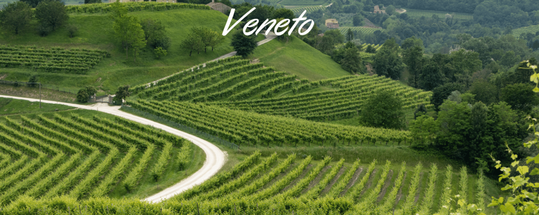 Prodotti tipici Veneti in vendita - Bevendoonline