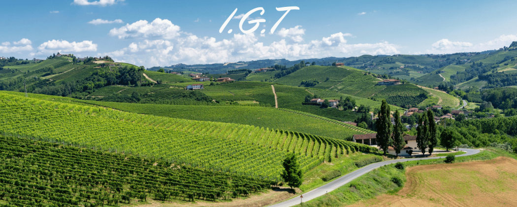 Indicazione geografica Tipica IGT in vendita - Bevendoonline