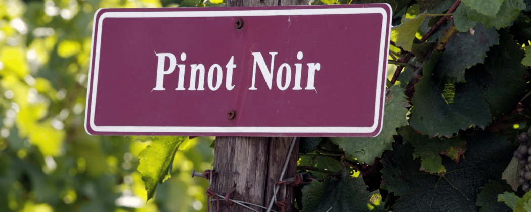 Pinot Nero vino rosso in vendita - Bevendoonline