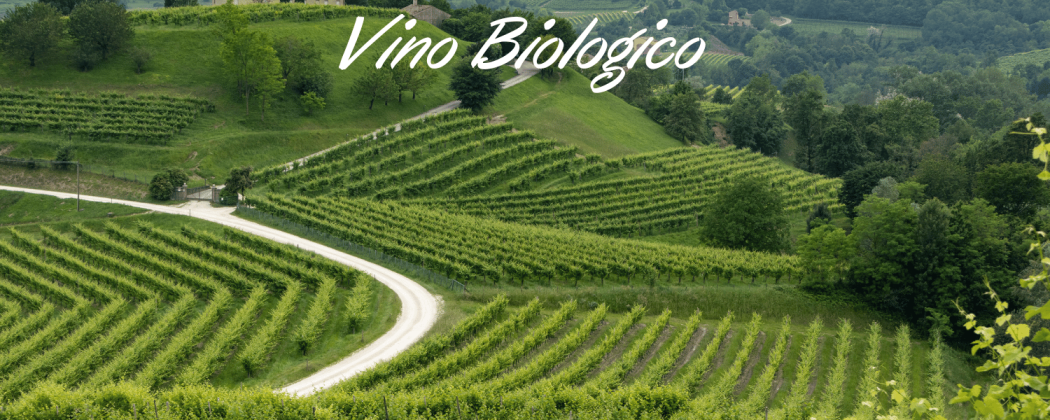 Vino Biologico in vendita - Bevendoonline