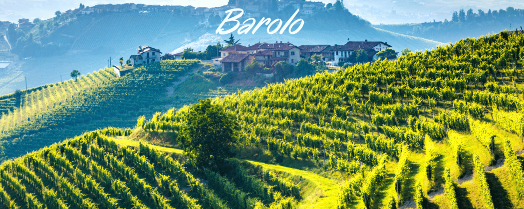 Barolo vini rosso pregiato in vendita - Bevendoonline