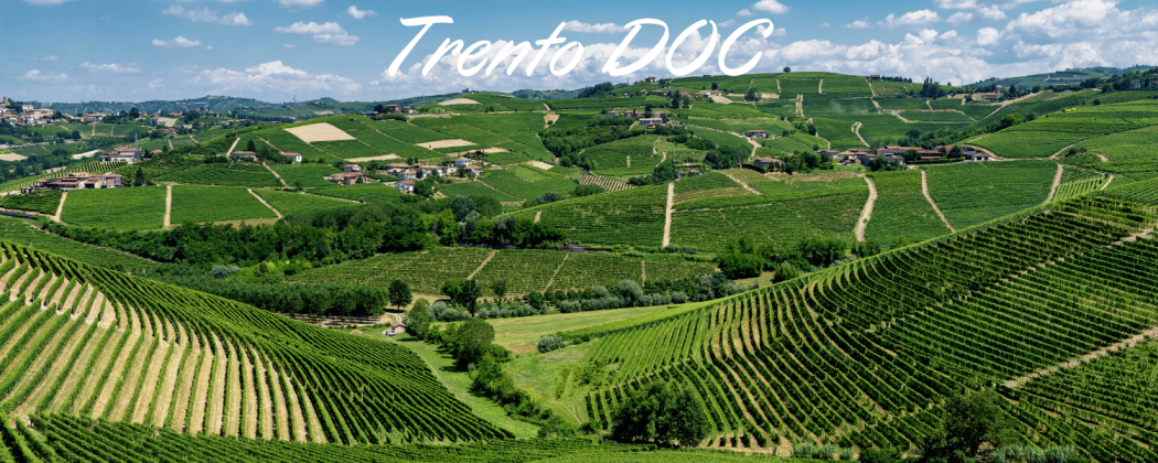 Trento DOC in vendita - Bevendoonline
