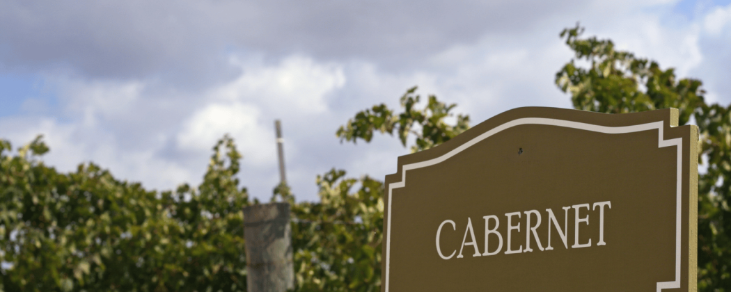 Cabernet vino rosso in vendita - Bevendoonline