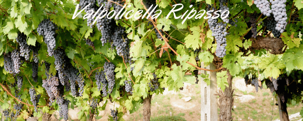Valpolicella ripasso vino rosso in vendita - Bevendoonline