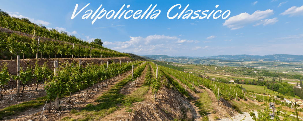 Valpolicella classico vino rosso in vendita - Bevendoonline
