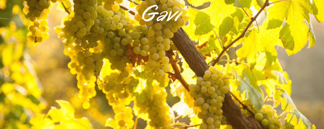Gavi vino bianco in vendita - Bevendoonline