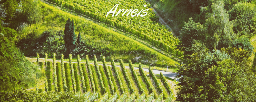Arneis vino bianco in vendita - Bevendoonline