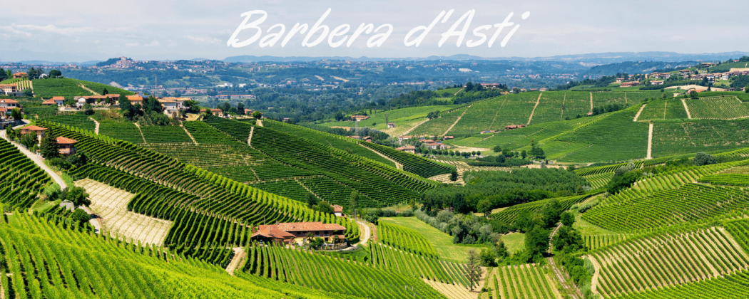 Barbera d'Asti in vendita - Bevendoonline