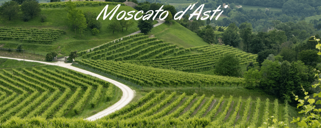 Moscato d'Asti in vendita - Bevendoonline